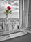 Flower vase on window with Eiffle tower in background, Paris Poster Print by Assaf Frank - Item # VARPDXAF20140919078XPC03